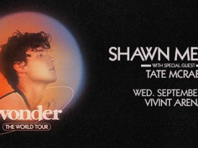 Shawn Mendes Pop music